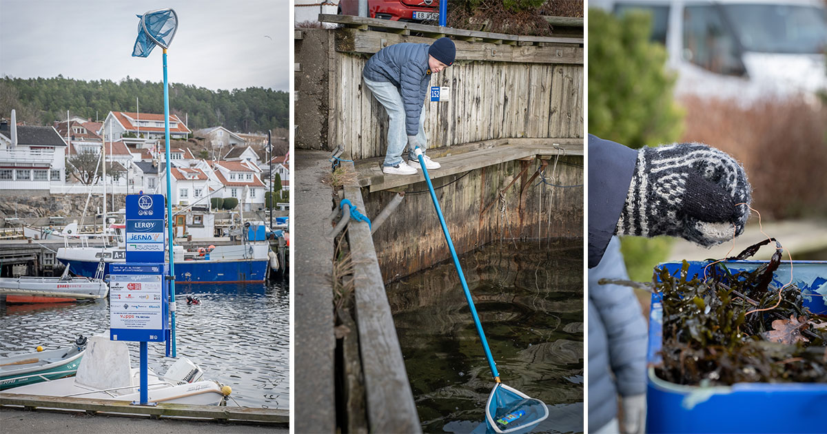 Søppelstativ med håv (Bilder lånt av Miljøhavn AS)